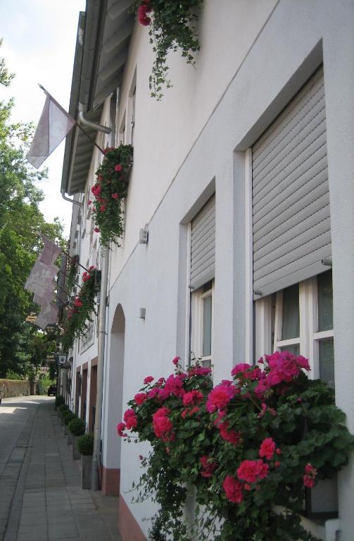 Hotel Wappenstube Ербах Екстер'єр фото